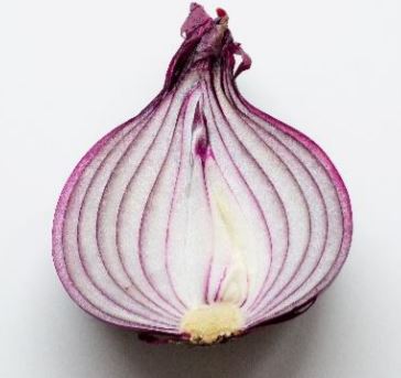 BLOGPOST_Onions11152021.JPG